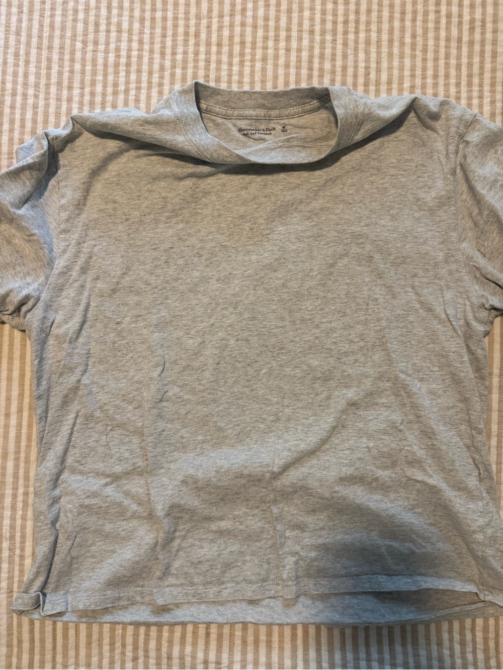 Abercrombie Classic Grey Crew Neck T-Shirt